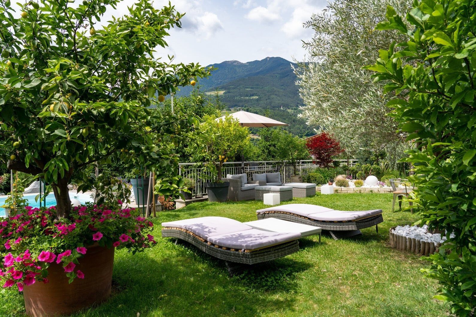 The Garden