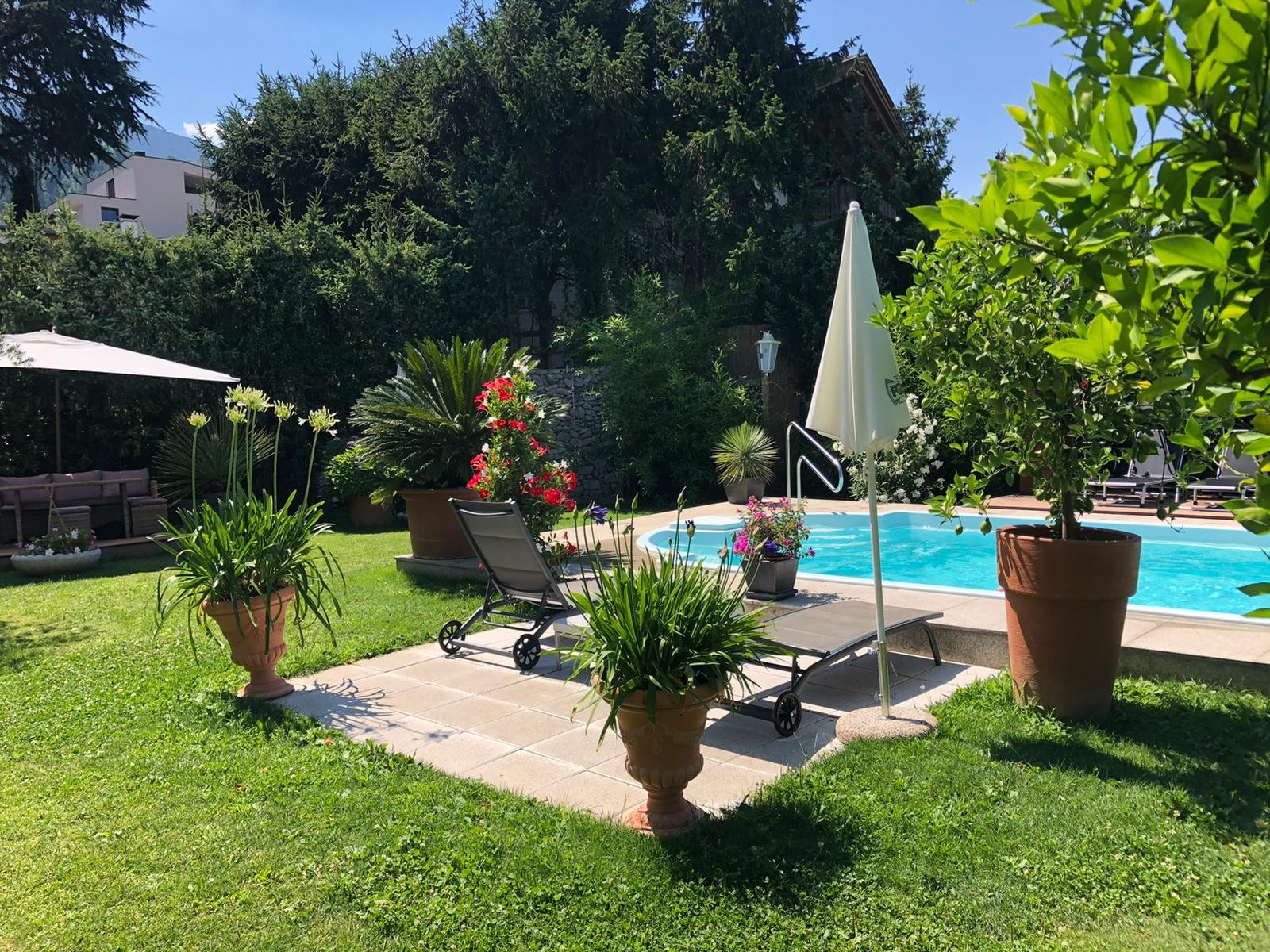 The Garden